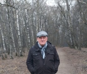 petr gess, 74, Moscow