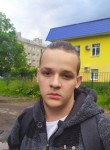 владимир шишкин, 22 года, Рыбинск
