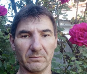 Алексей Владимир, 48 лет, Астрахань