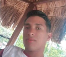 Andres, 29 лет, Barquisimeto