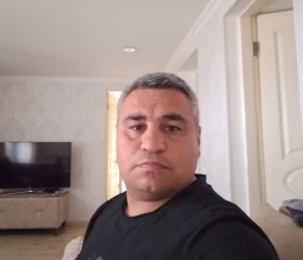 Pulkhan, 39, Bolnisi