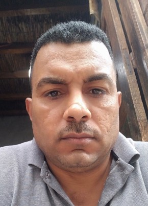 شعبان هيكل, 39, جمهورية مصر العربية, القاهرة