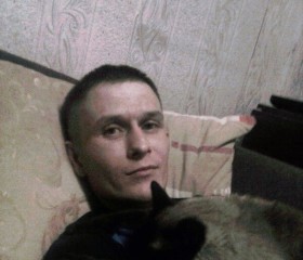 Денис, 43 года, Сыктывкар