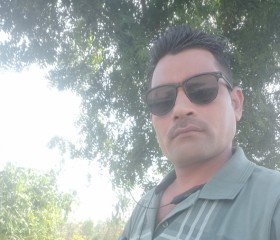 Sanjeev Sharma, 35 лет, Delhi