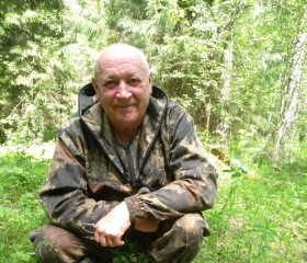 vladimir, 67 лет, Вятские Поляны
