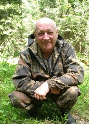 vladimir, 67, Россия, Вятские Поляны