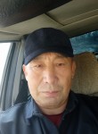 Алик, 56 лет, Бишкек
