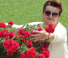 инна, 73 года, Полтава