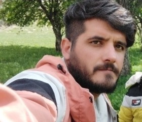 محمد انگورانی, 21 год, زنجان