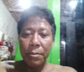 Paino susanto, 46 лет, Kota Bandar Lampung