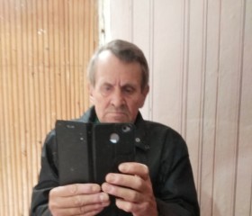 Виктор, 70 лет, Ижевск