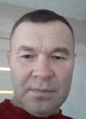 Рамиль, 46, Россия, Казань