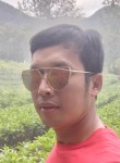Marco, 31 год, Tangerang Selatan