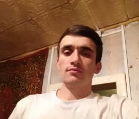 Amir, 28, Pushkino