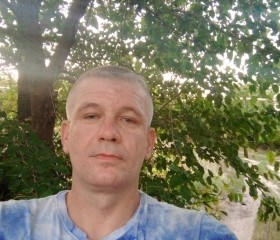 Александр, 41 год, Тацинская