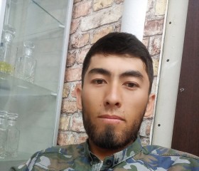 Али Алиев, 26 лет, Москва