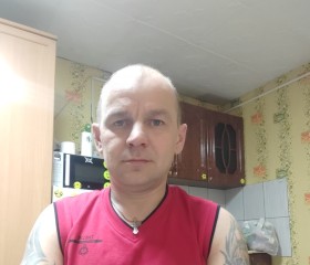 Александр, 42 года, Котлас