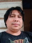 Ujang bahar, 45 лет, Rantepao