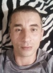 Владимир, 42 года, Кичменгский Городок