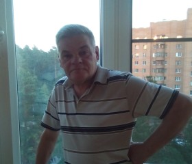 Владимир, 70 лет, Протвино