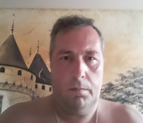 Андрей, 44 года, Россошь