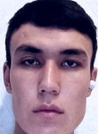 Жамшид Сафаров, 25 лет, Санкт-Петербург