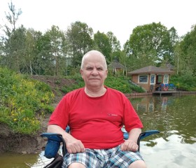 Анатолий, 78 лет, Казань