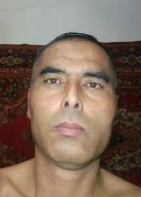 Лев из Новосибирска 45 лет