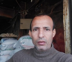 عادل, 36 лет, القاهرة