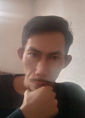 Hendrik hermawan, 43, Indonesia, Kota Sukabumi