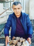 Эдик Алиев, 50 лет, Новокузнецк