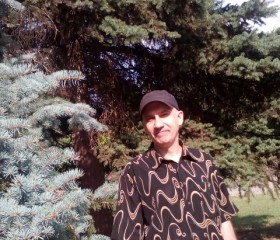 Олег, 54 года, Кропивницький