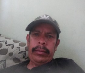 Armando delgado, 45 лет, Zapopan