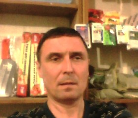 Гриша, 53 года, Пологи