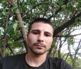 Вован, 27 лет, Казань