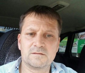 Андрей Абрамов, 53 года, Новоуральск