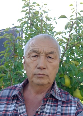 Тыныбек Чыныбаев, 61, Кыргыз Республикасы, Бишкек