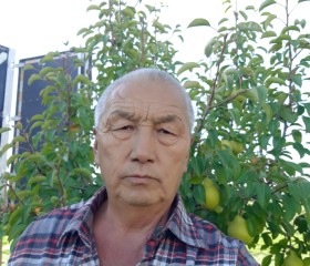 Тыныбек Чыныбаев, 61 год, Бишкек