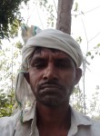 Lokesh kumar, 28 лет, Khatauli