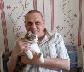 Александр, 66 лет, Тольятти