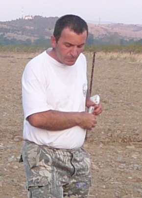 Macsex, 50, Република Македонија, Гевгелија
