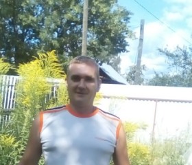 Андрей, 50 лет, Камешково