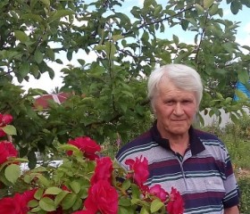 Чаган, 71 год, Старобін