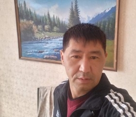 Нурлан Баяманов, 43 года, Бишкек