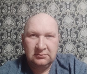 Dmitriy, 40, Vitebsk