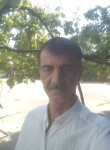 Mustafa, 56 лет, İstanbul