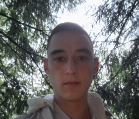 Timur, 22, Dmitrov