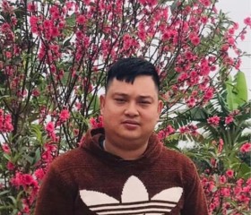 Lê văn tho, 31 год, Hà Nội