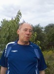 Николай, 66 лет, Воронеж