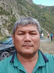 Мирлан, 49 лет, Бишкек